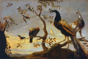 N.D Frans_Snyders_-_Group_of_Birds_Perched_on_Branches